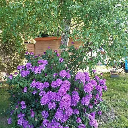 Sloneczny Domek